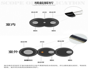 標題-1.jpg