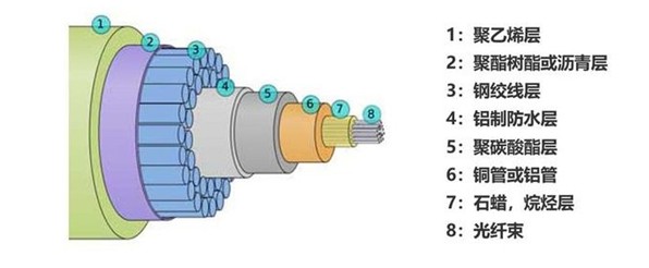 海底光纜.JPG